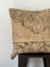 Load image into Gallery viewer, No. 113 Rug Pillow Case 18”x18”