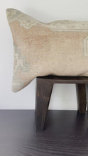 Load and play video in Gallery viewer, No. 110 Rug pillow case 16”x23”
